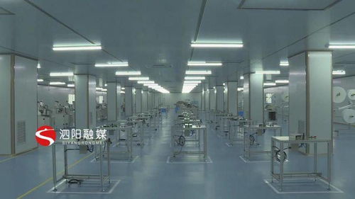 優服務強項目，科技賦能 泗陽意楊產業科技園的高質量發展之路